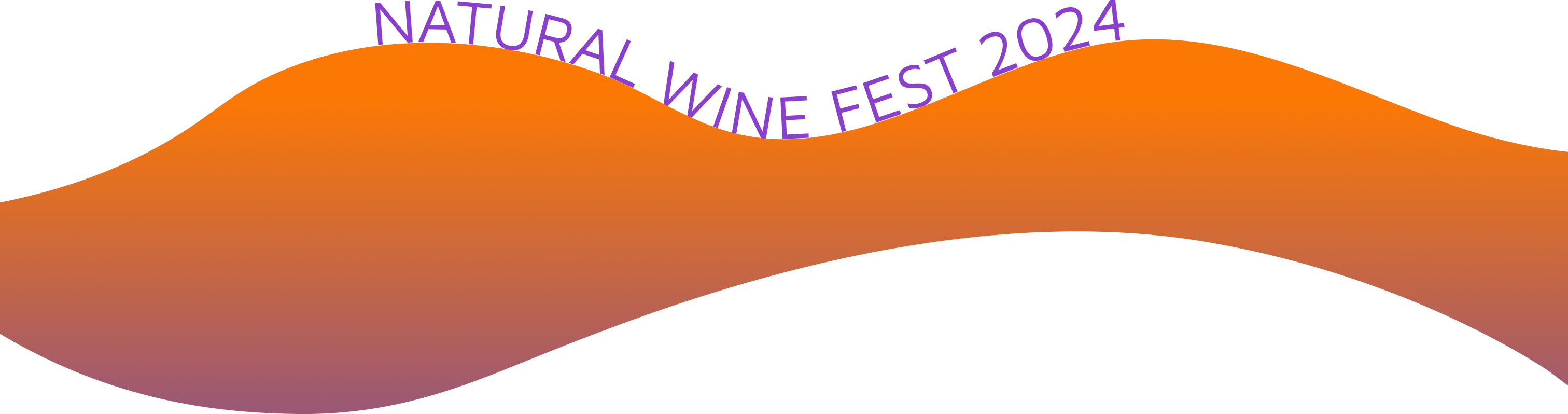 Natural Wine Fest 2024